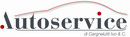 Logo Autoservice Sas Di Cargnelutti Ivo